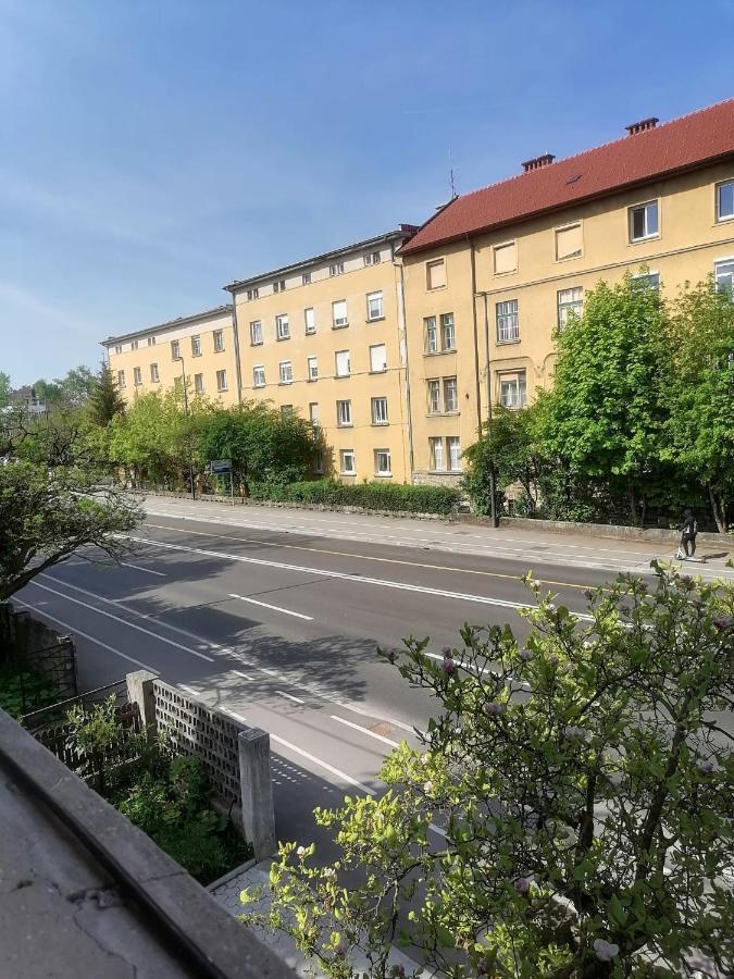 Pirc Apartment On Dunajska Street Liubliana Exterior foto